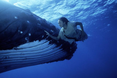 ../media/a9/OCEAN-GIRL-1-Neri-&-Whale.thumb.jpg